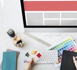 web design colors being selected
